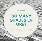 So many shades of grey podcast logo